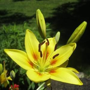 Meet your Posher, Tammy